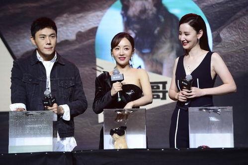 娱乐圈吃瓜汇总最新章节